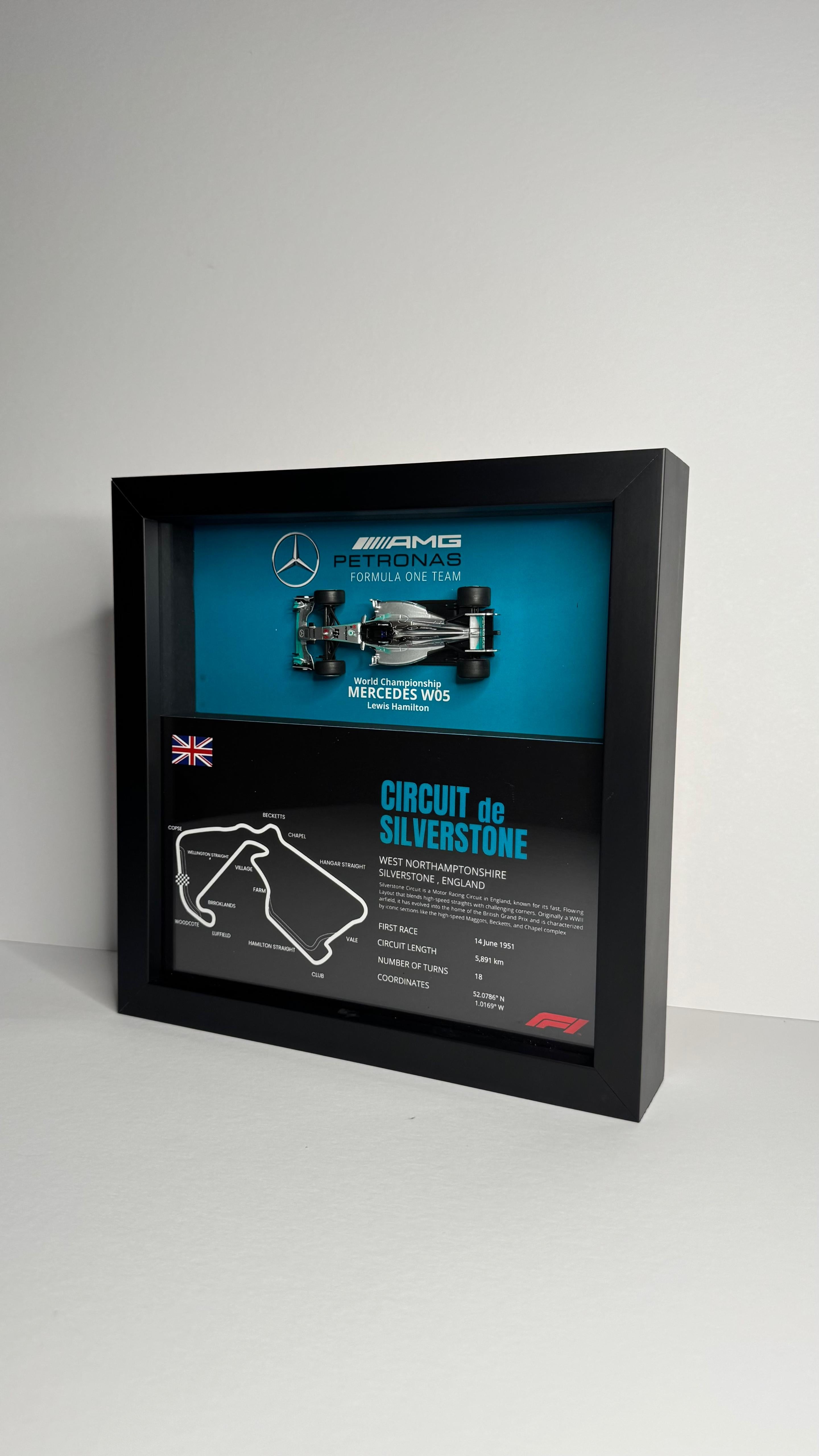 Mercedes W05 Lewis Hamilton