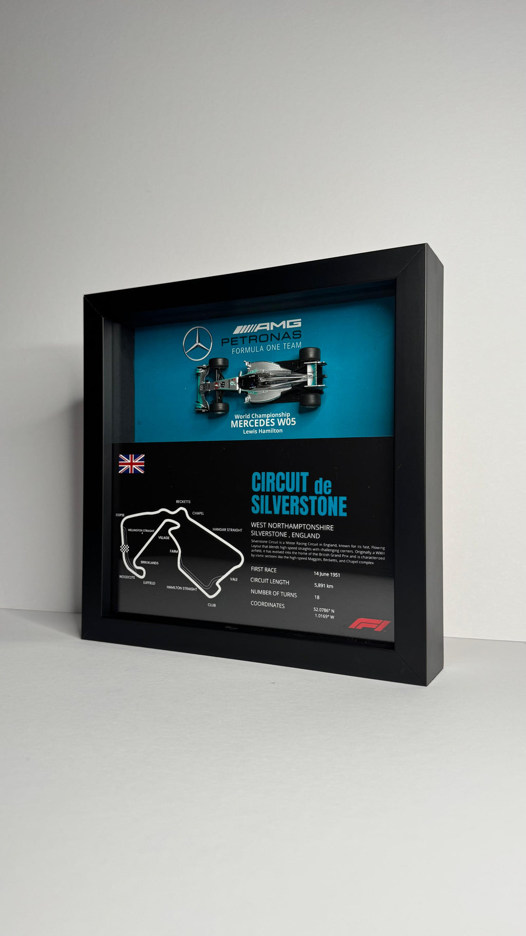 Mercedes W05 Lewis Hamilton