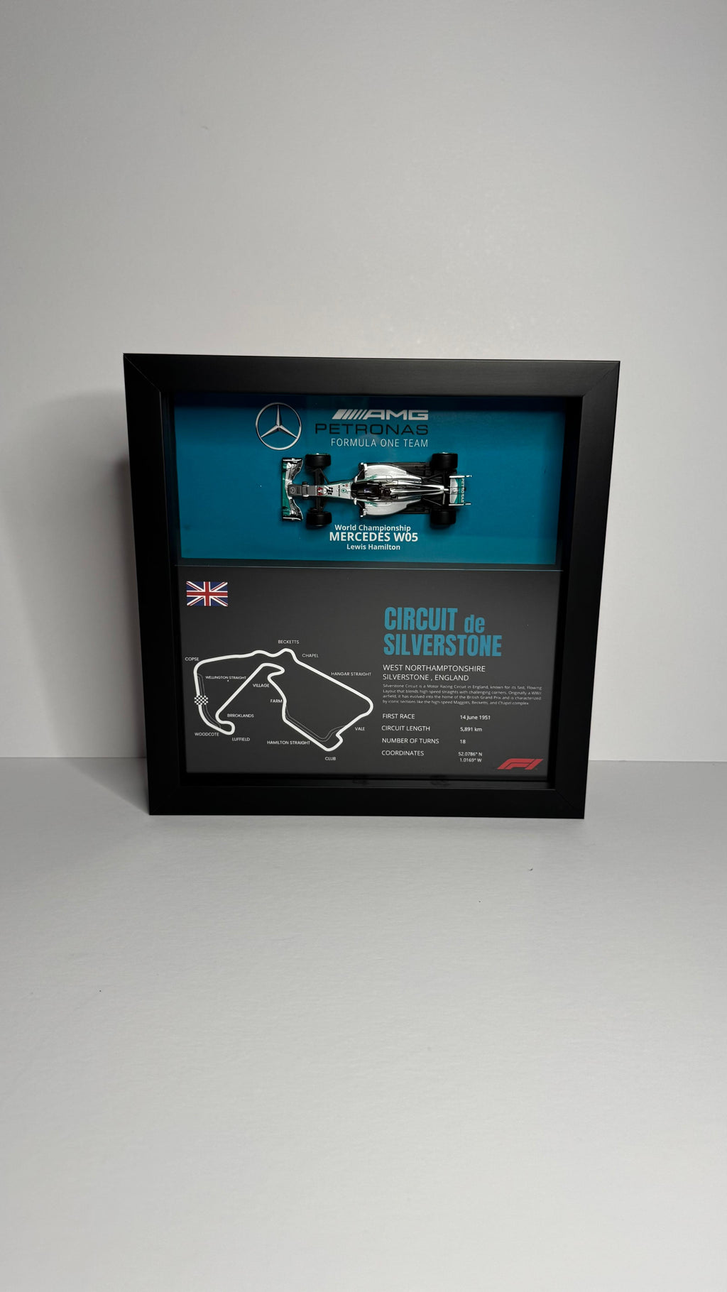 Mercedes W05 Lewis Hamilton