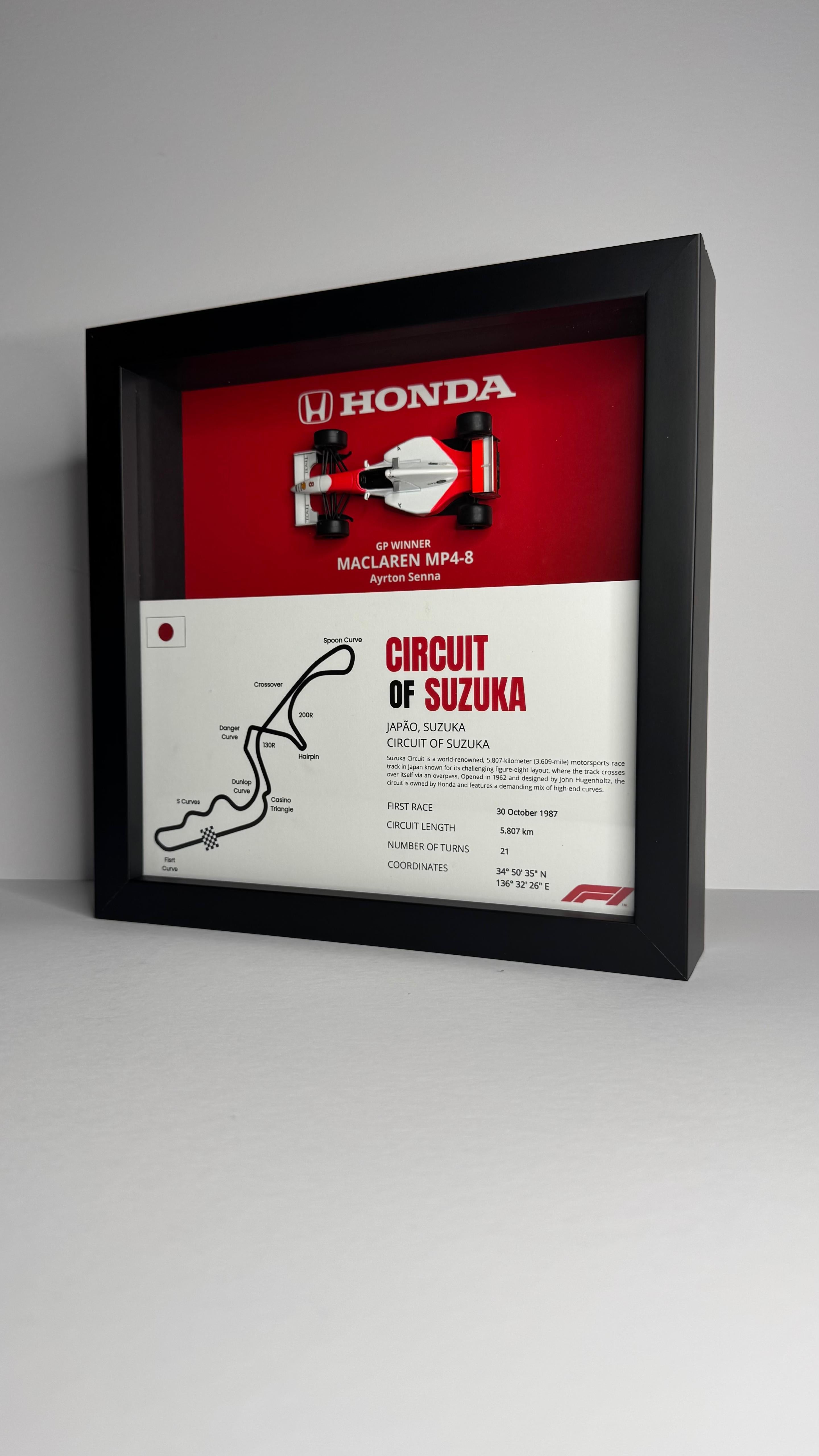 McLaren MP4/8 Ayrton Senna