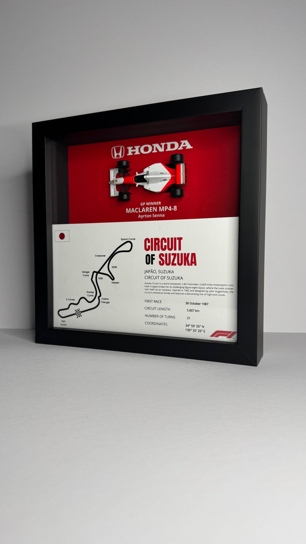 McLaren MP4/8 Ayrton Senna