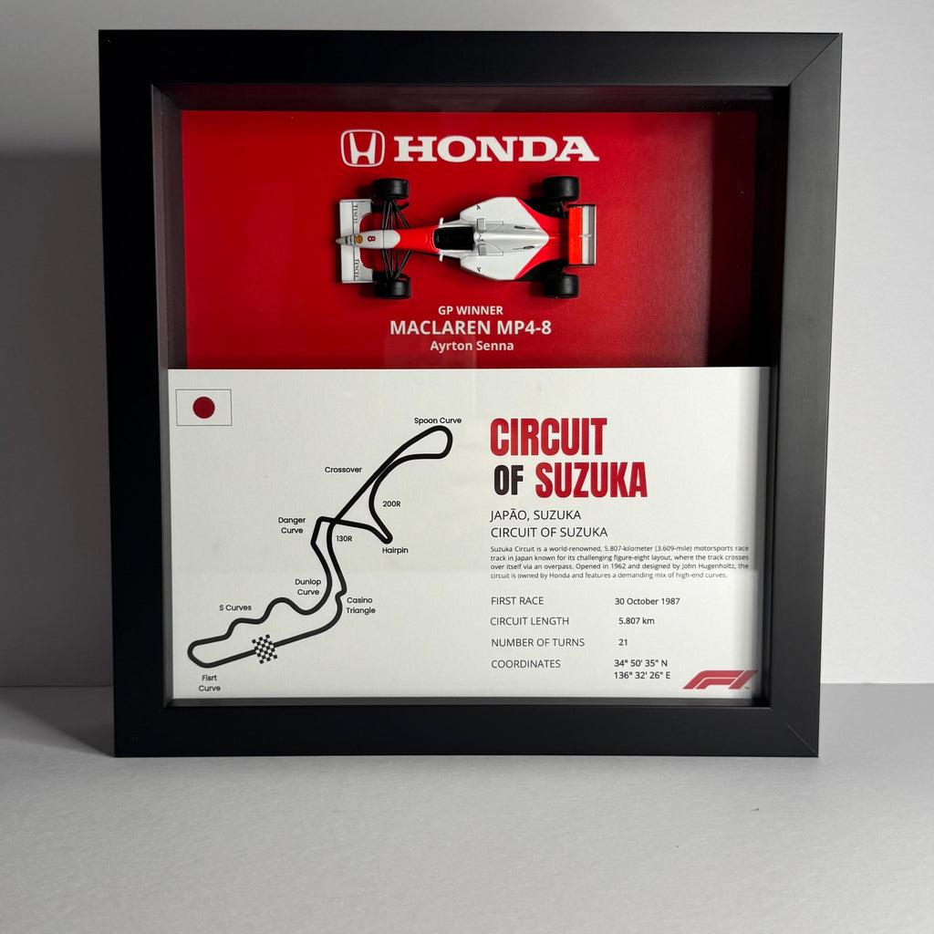 McLaren MP4/8 Ayrton Senna