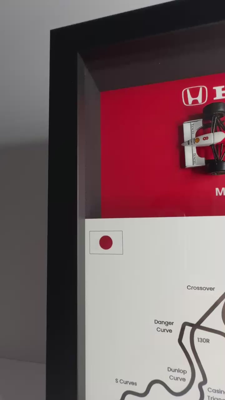 McLaren MP4/8 Ayrton Senna